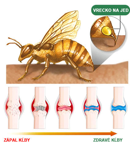 🍯🌿🍯 𝐁𝐄𝐀𝐑𝐍𝐈𝐂𝐀™ 𝐊𝐫é𝐦 𝐧𝐚 𝐤ĺ𝐛𝐲 𝐚 𝐤𝐨𝐬𝐭𝐢 𝐬 𝐯č𝐞𝐥í𝐦 𝐣𝐞𝐝𝐨𝐦🔥 (𝐏𝐨𝐬𝐥𝐞𝐝𝐧ý 𝐝𝐞ň 𝐚𝐤𝐜𝐢𝐞, 𝟖𝟎% 𝐳ľ𝐚𝐯𝐚)